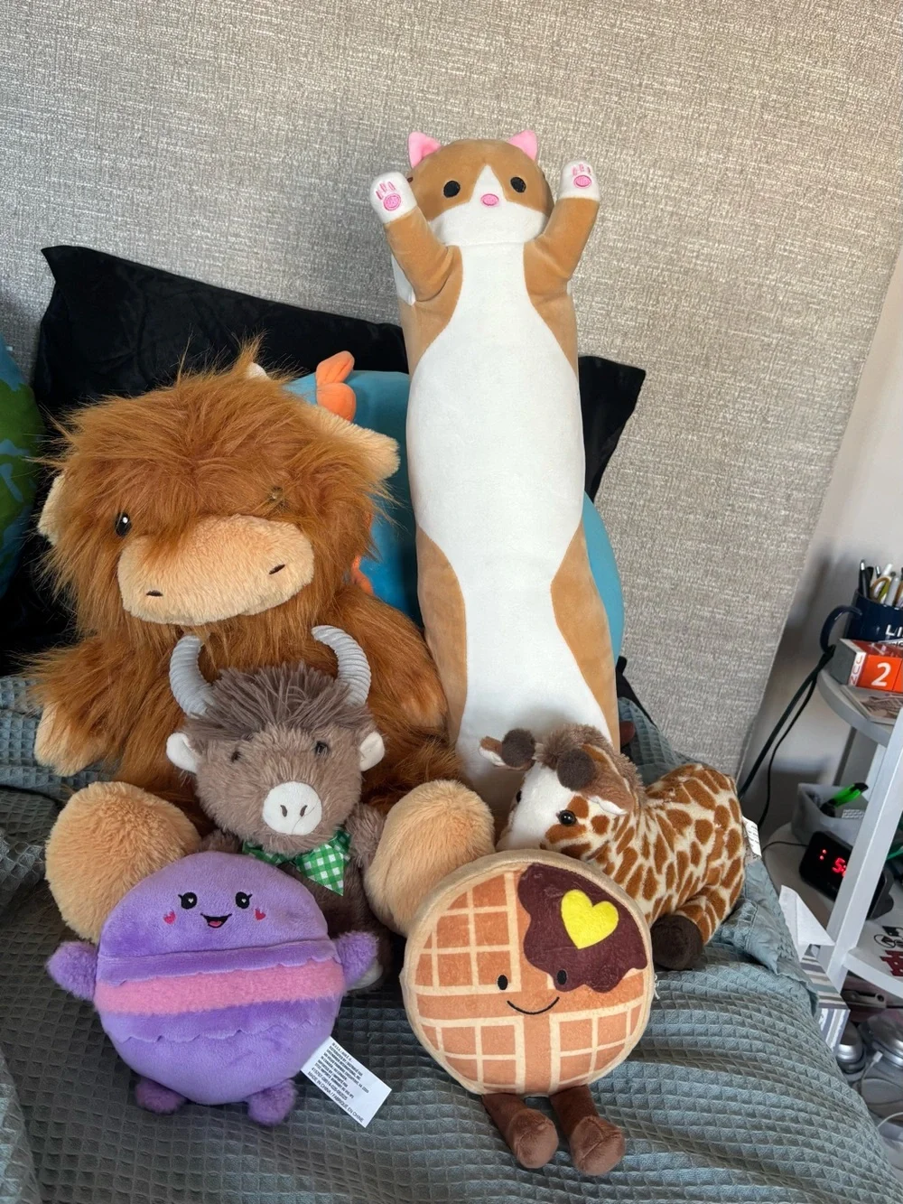 Lot of 6 mixed stuffed animals